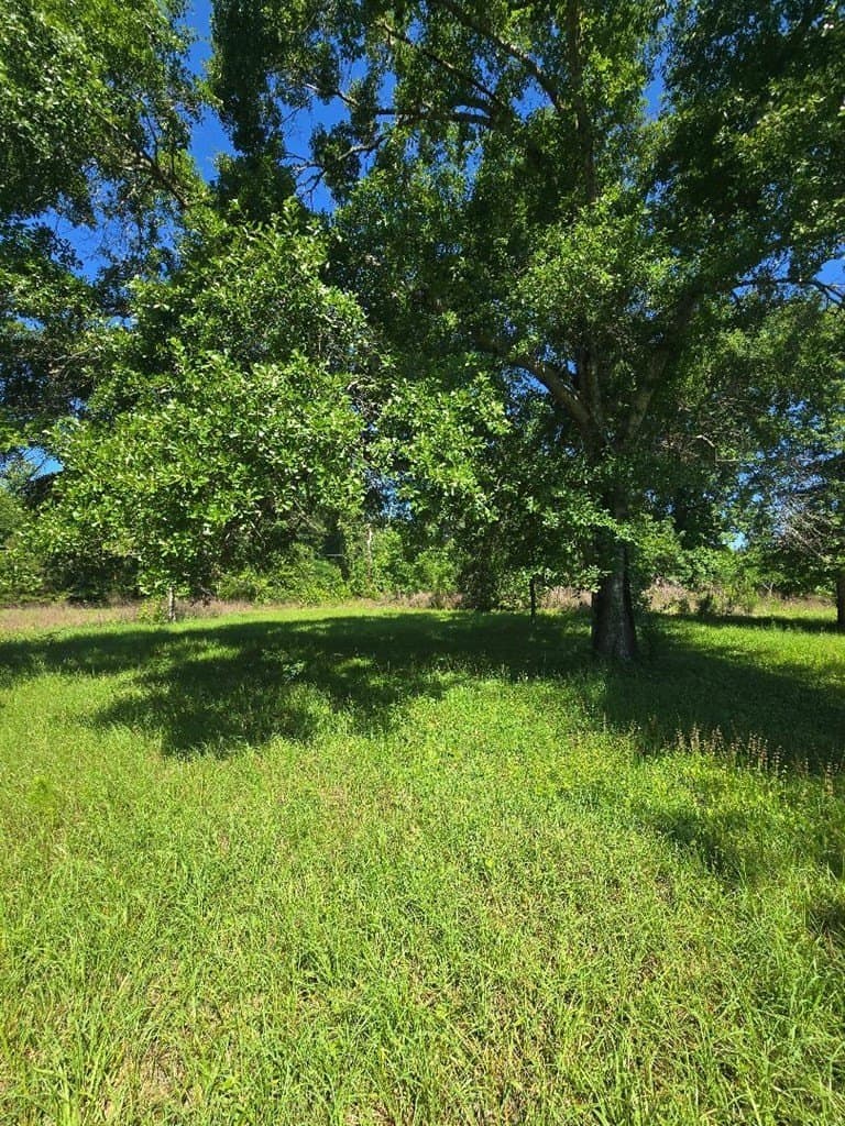 1 acres in Texas County gallery image 3