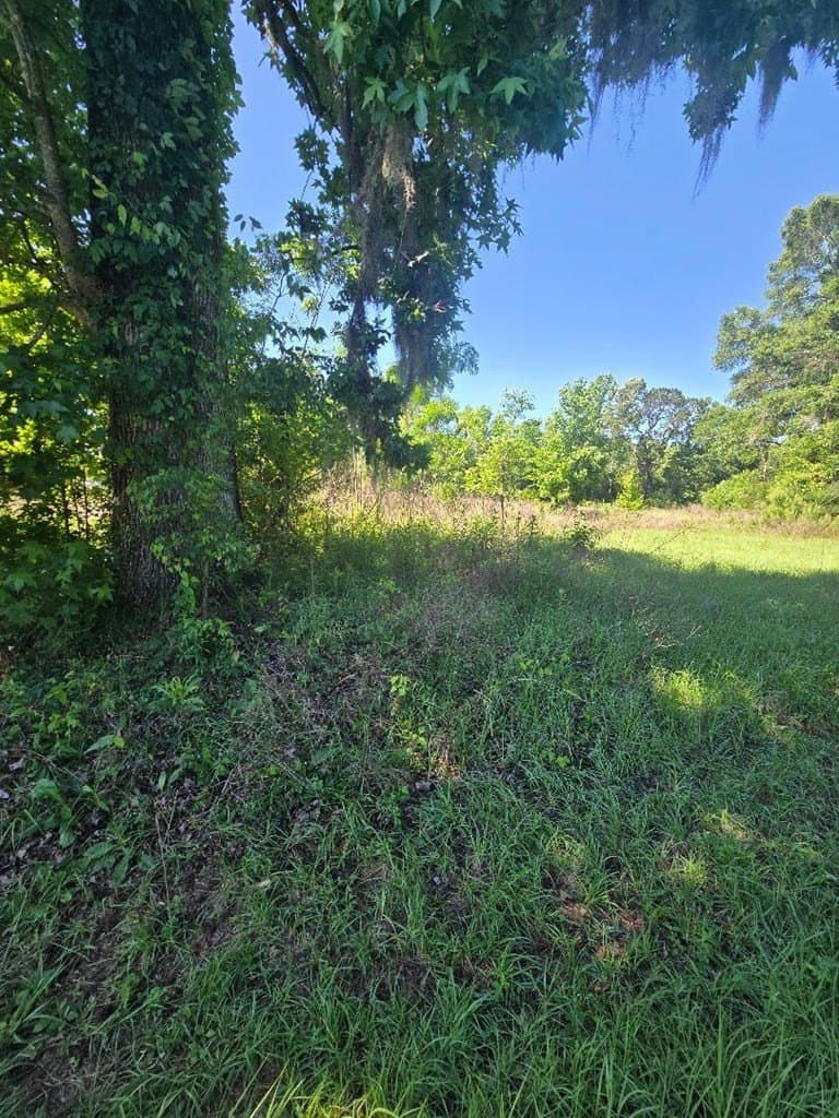 1 acres in Texas County featured view