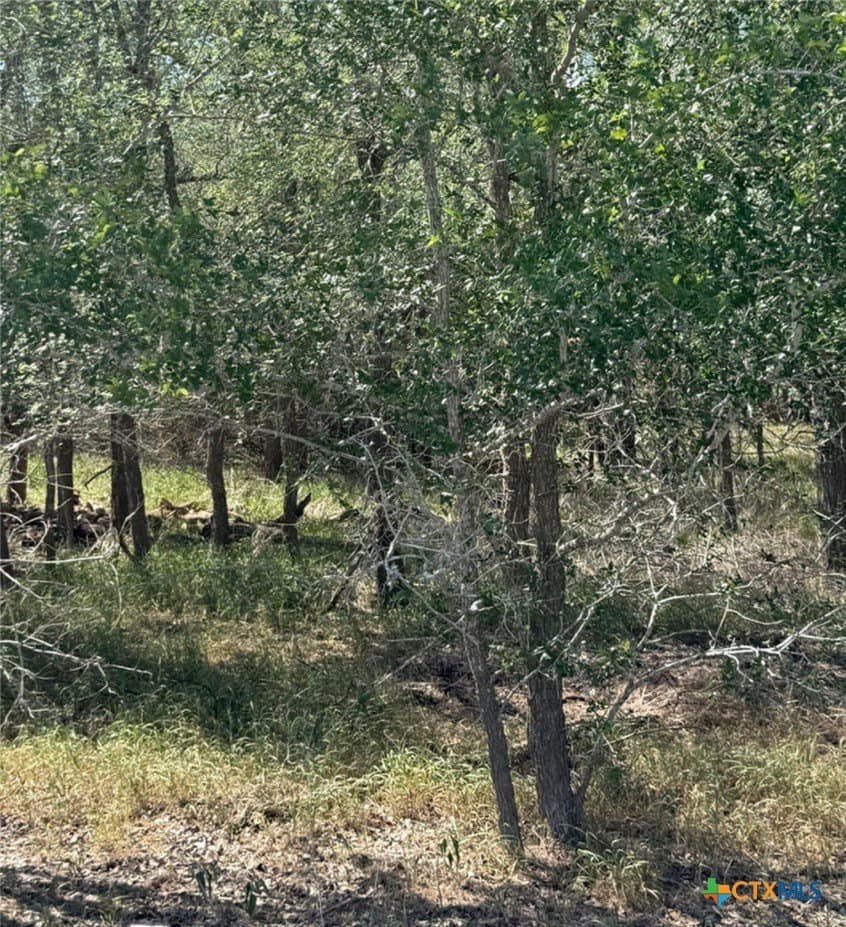 0.32 acres in Wilson County gallery image 4