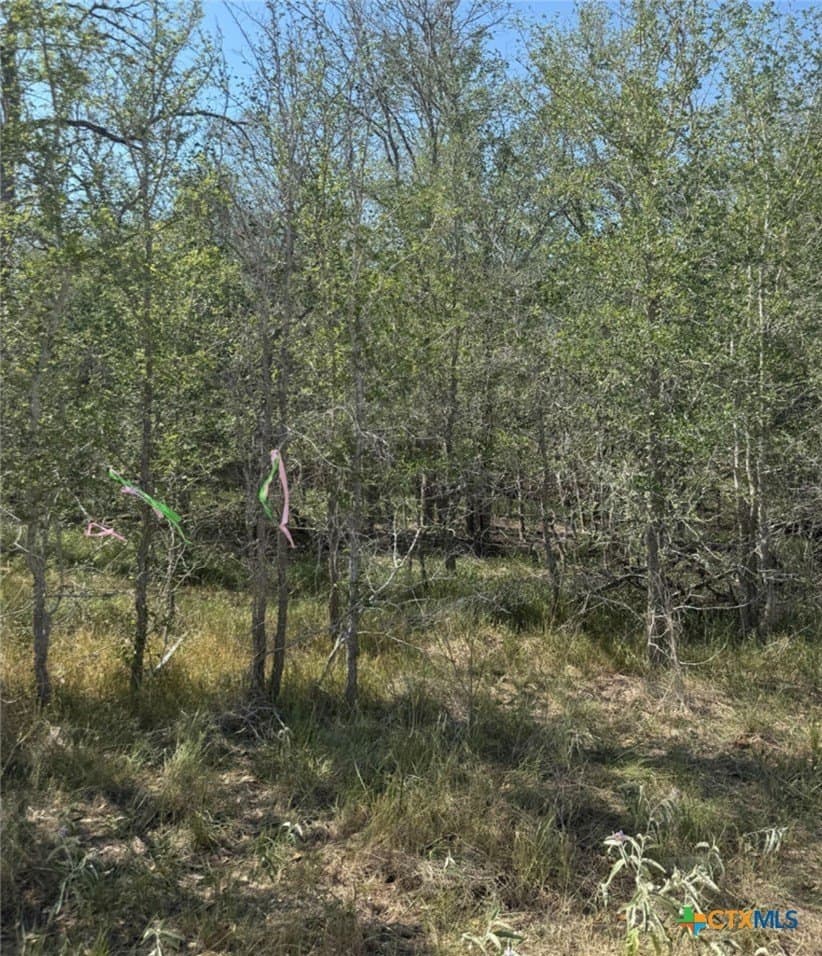 0.32 acres in Wilson County gallery image 2