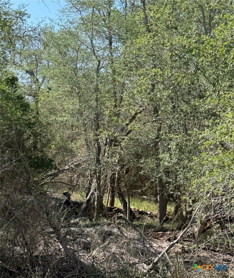 0.32 acres in Wilson County gallery image 3