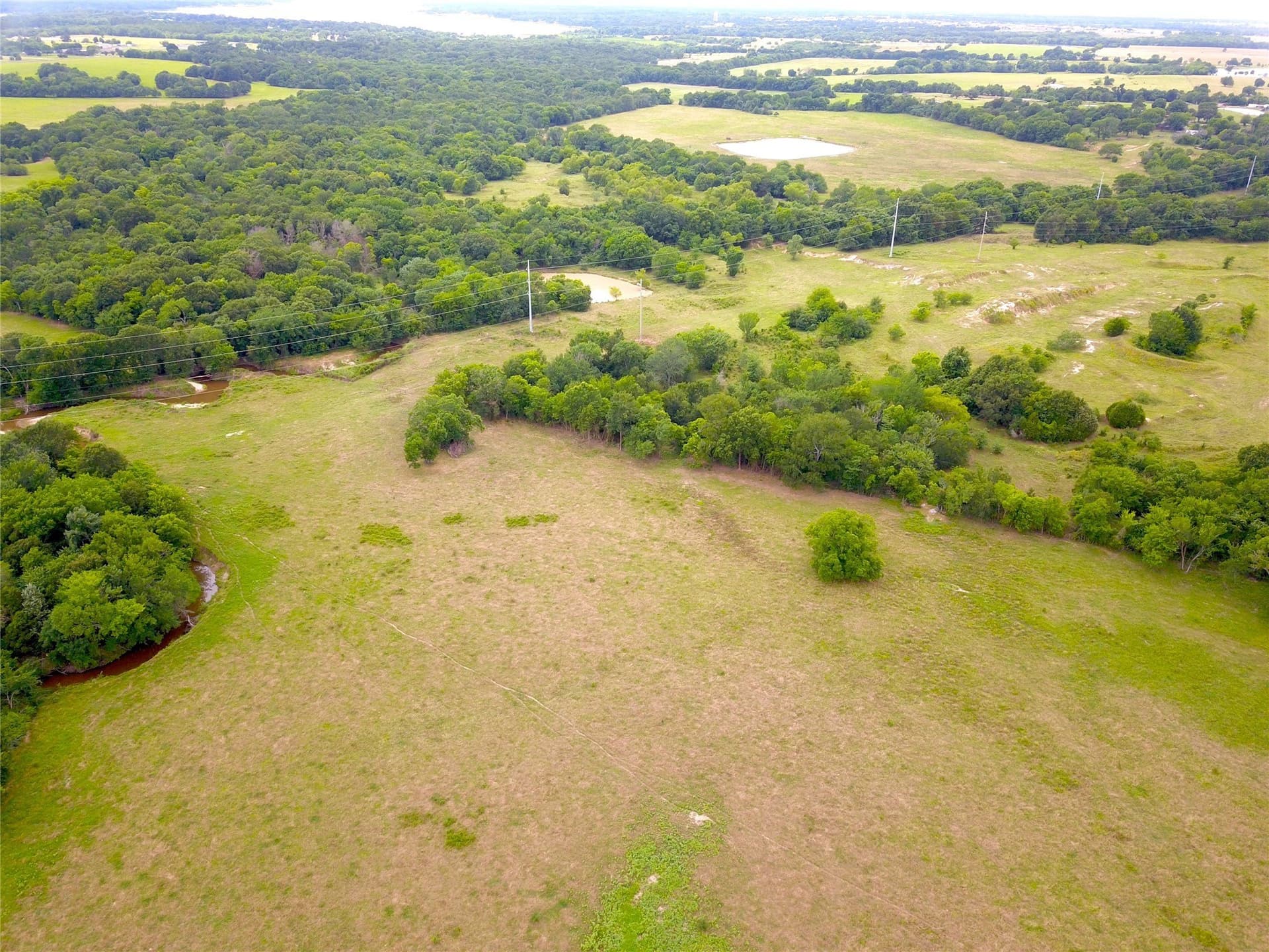34.61 acres in Henderson County gallery image 3