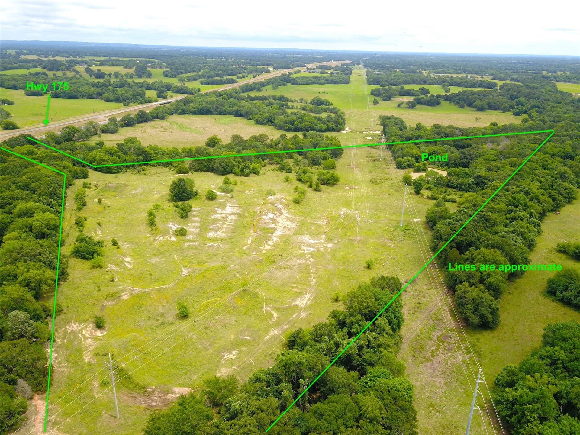 34.61 acres in Henderson County gallery image 4