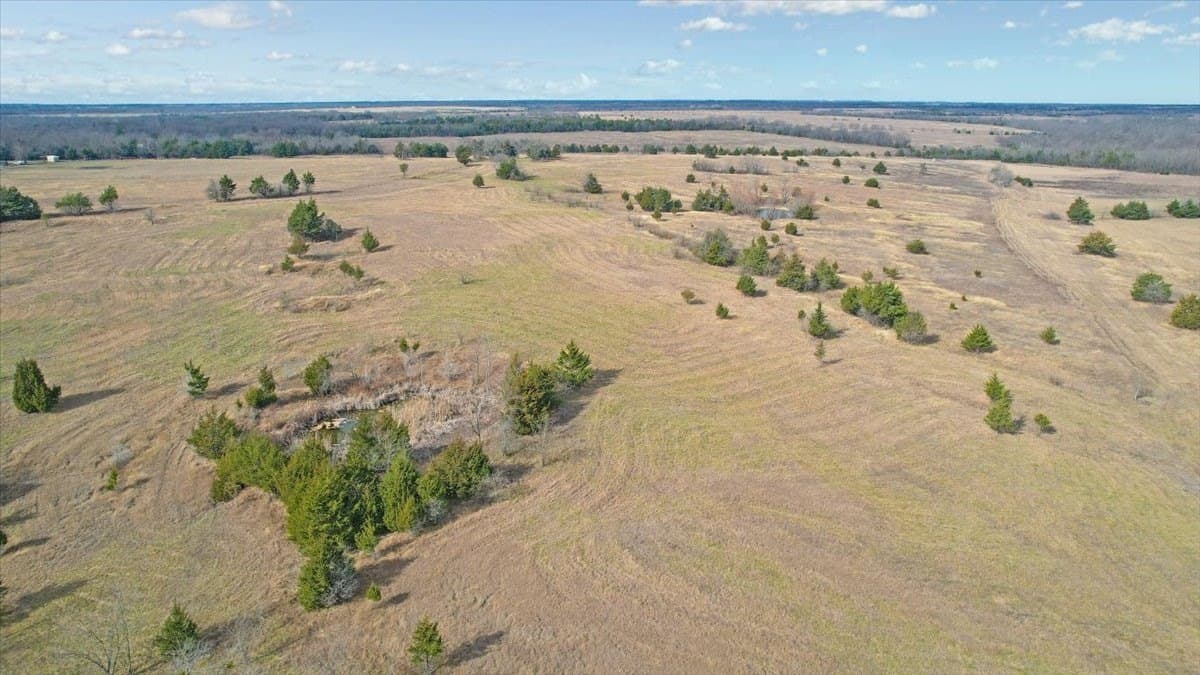 57.5 acres in Lamar County - photo 9