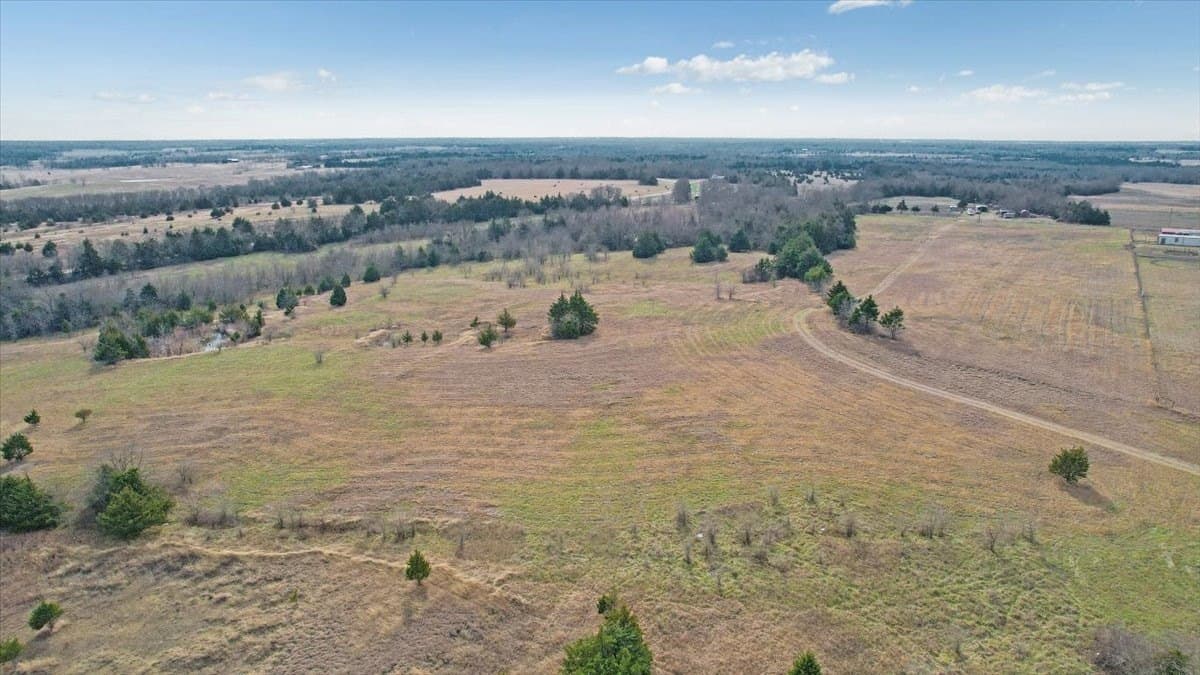 57.5 acres in Lamar County - photo 14