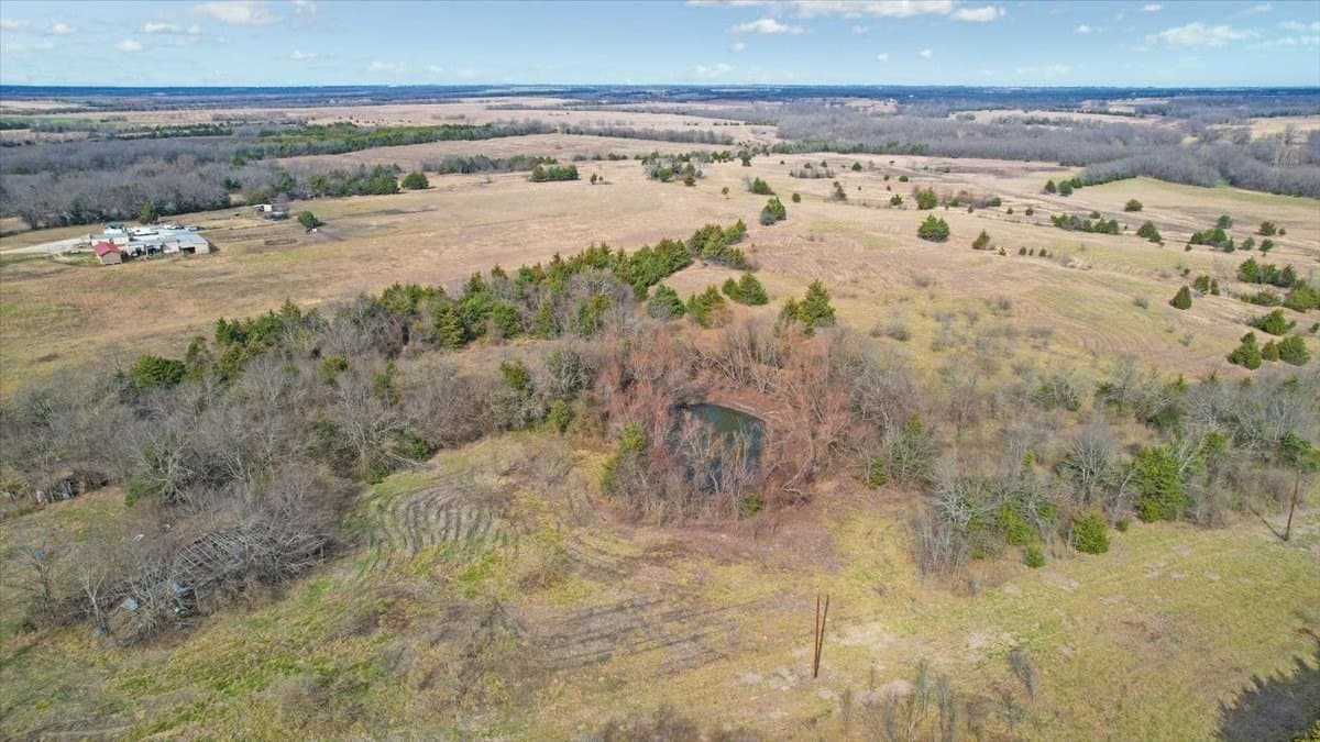 57.5 acres in Lamar County - photo 16