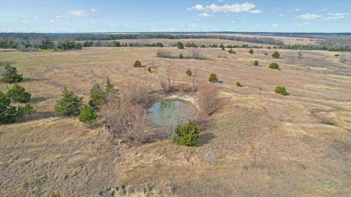 57.5 acres in Lamar County - photo 11