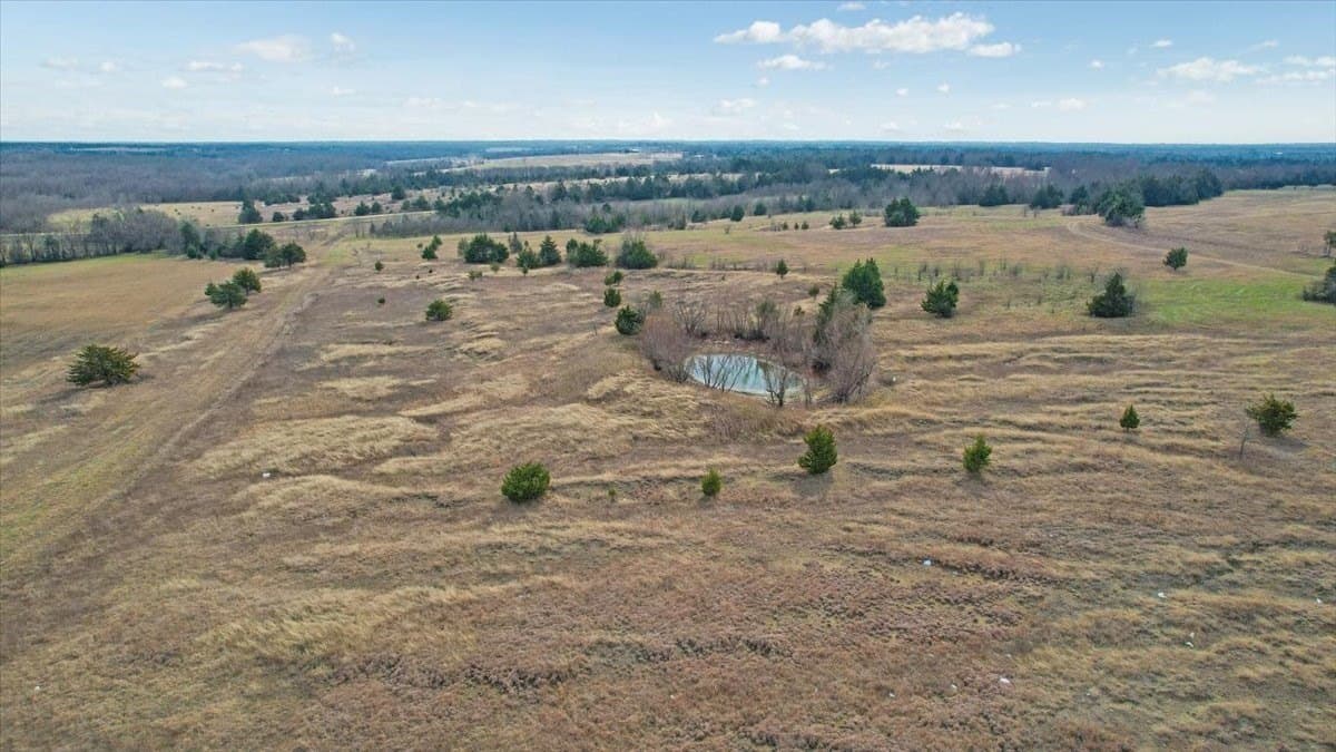 57.5 acres in Lamar County - photo 13