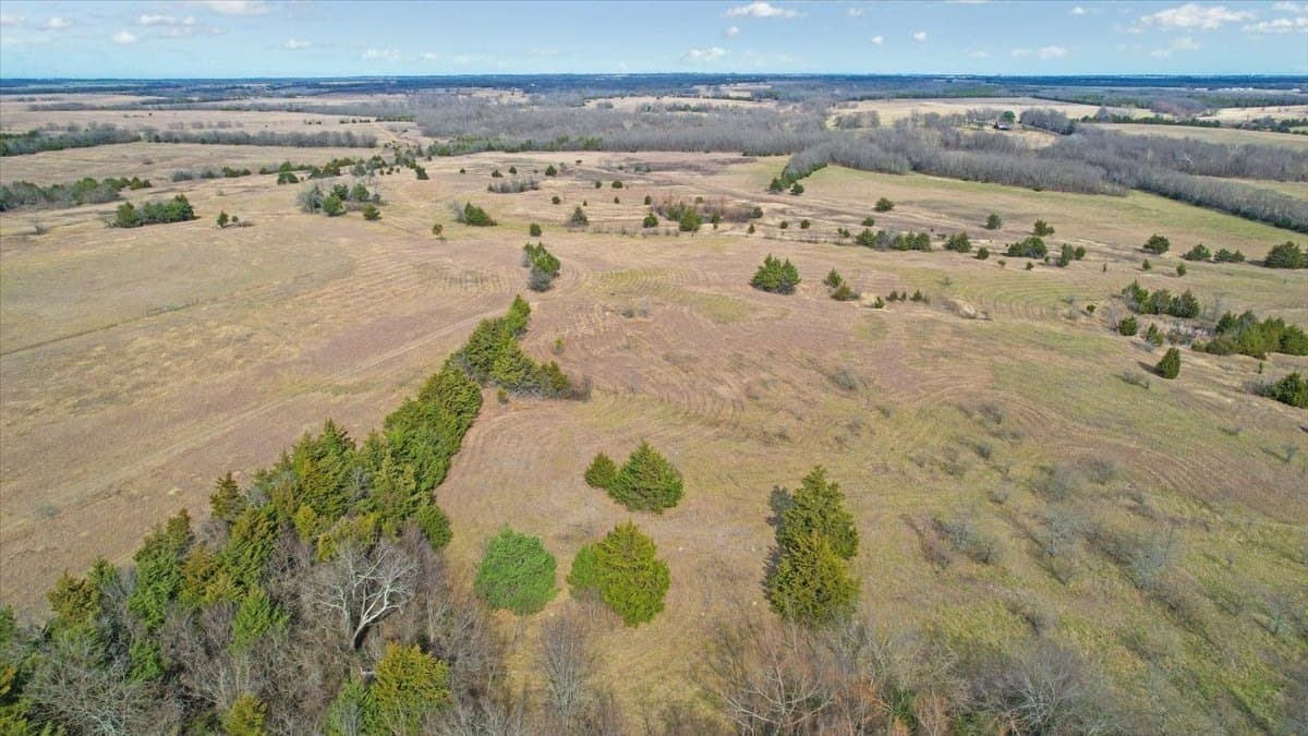 57.5 acres in Lamar County - photo 17