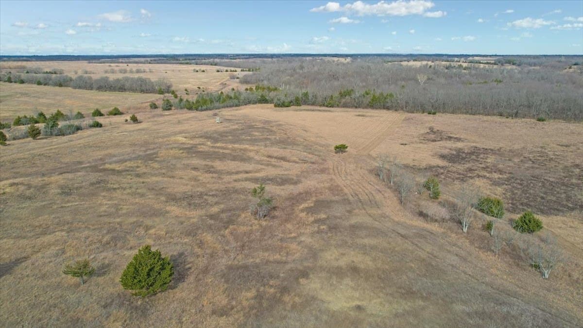57.5 acres in Lamar County - photo 12