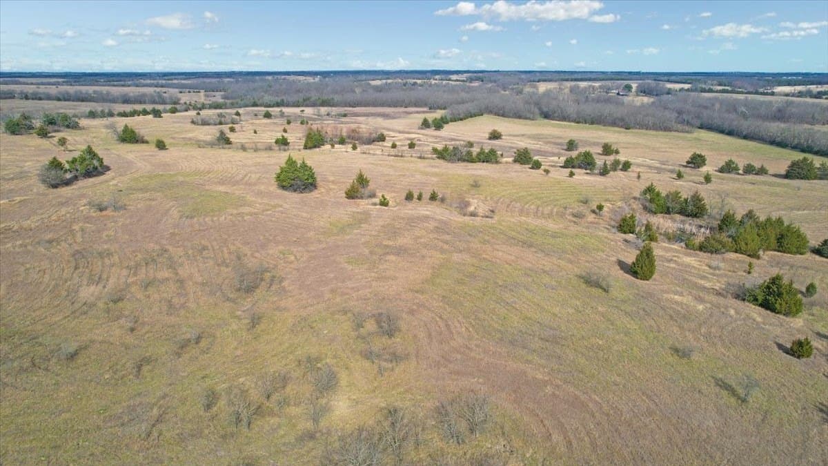 57.5 acres in Lamar County - photo 8