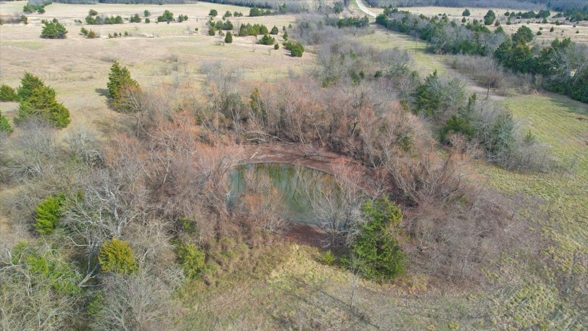 57.5 acres in Lamar County - photo 6