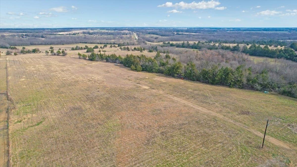 57.5 acres in Lamar County featured view