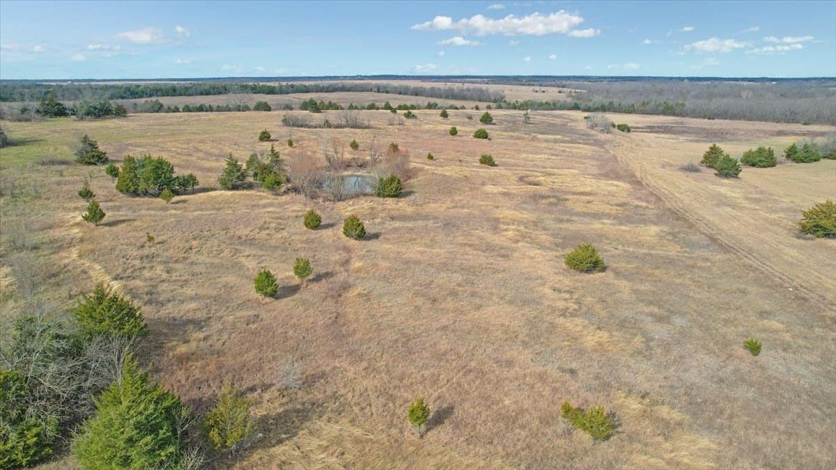 57.5 acres in Lamar County - photo 10