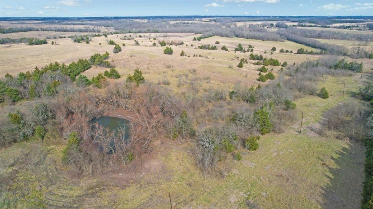 57.5 acres in Lamar County - photo 7