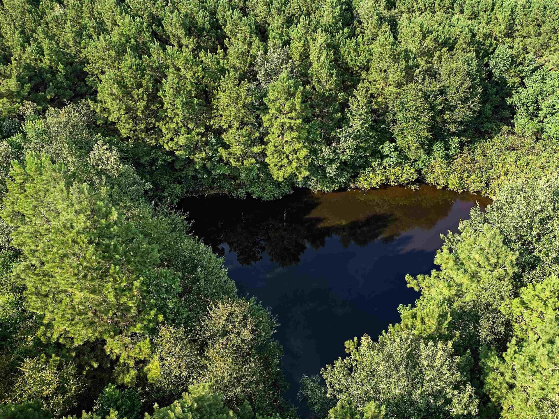 31.52 acres in Texas County - photo 17