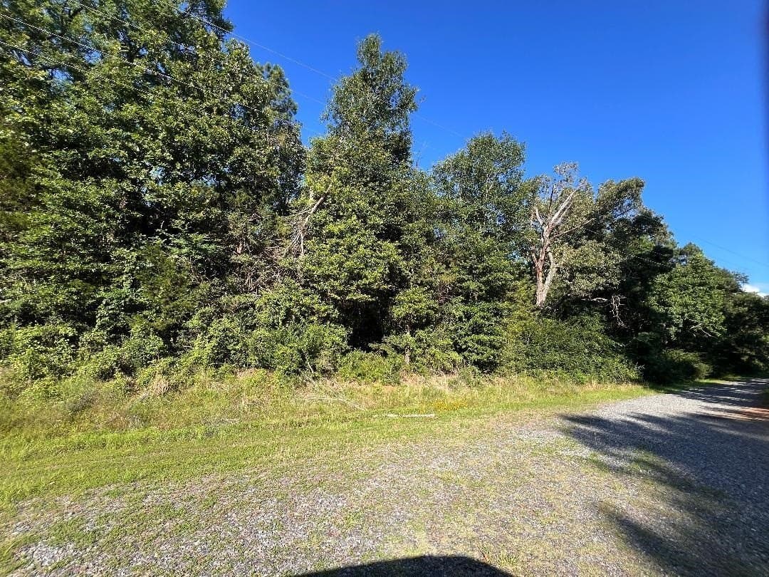 31.52 acres in Texas County - photo 3