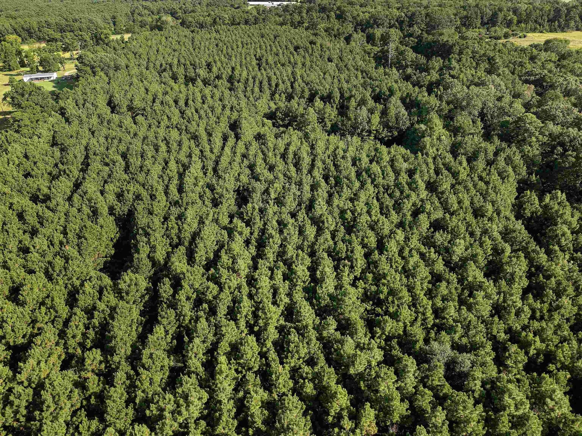 31.52 acres in Texas County - photo 11