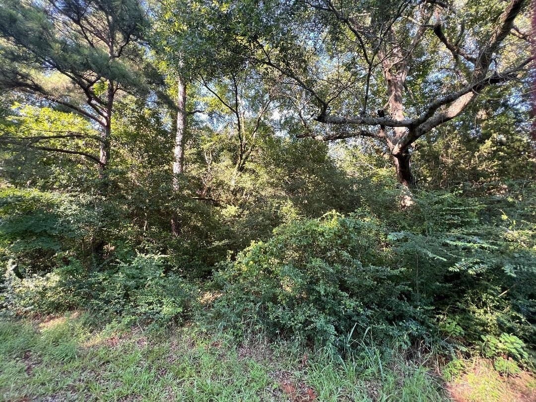 31.52 acres in Texas County - photo 4