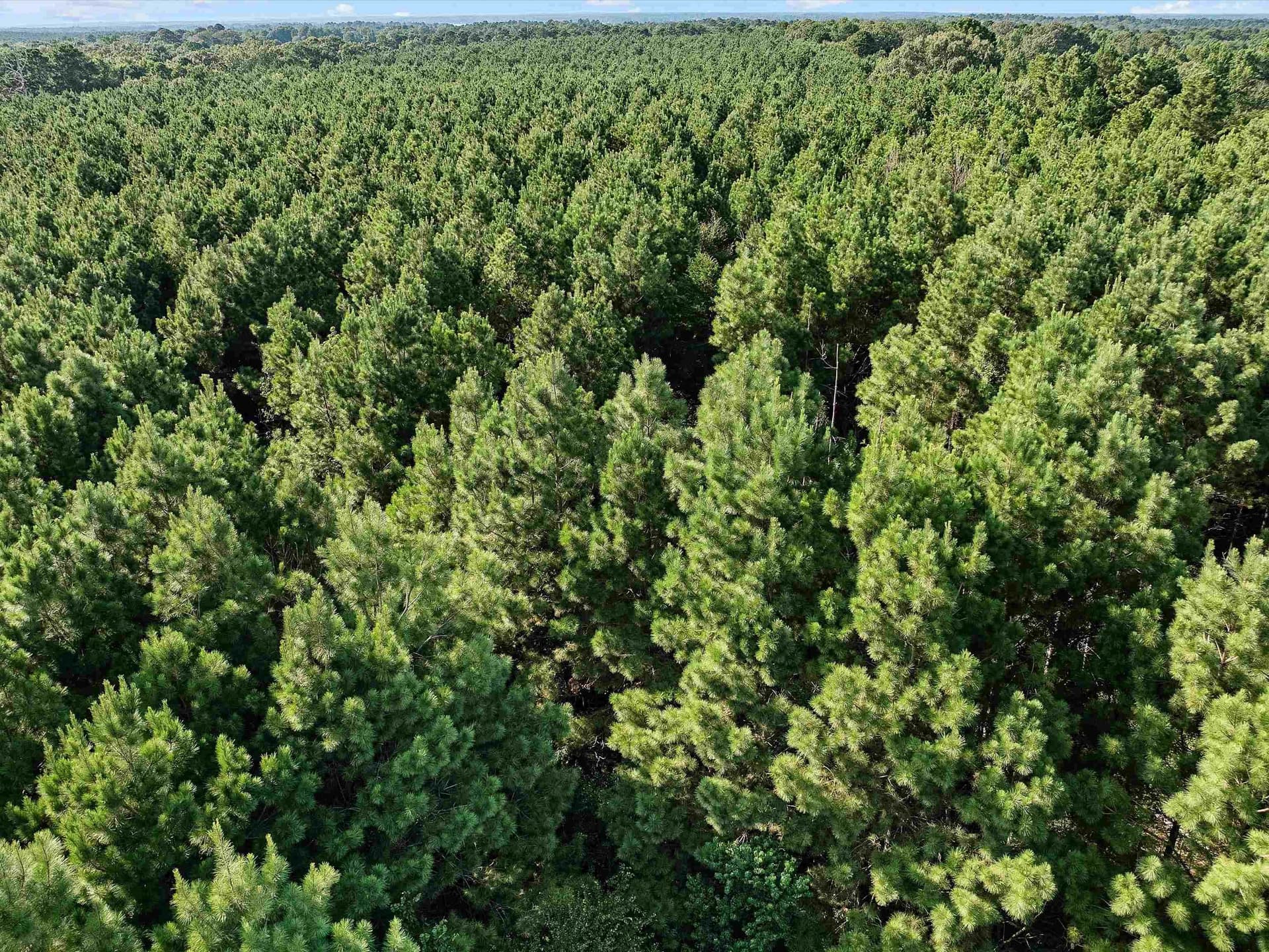 31.52 acres in Texas County - photo 9