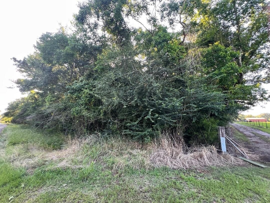31.52 acres in Texas County - photo 7