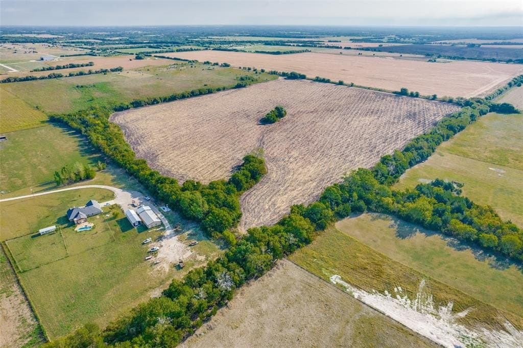 53.01 acres in Fannin County gallery image 4