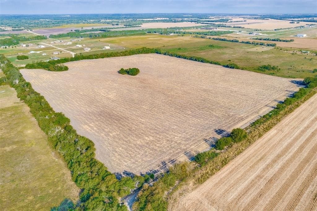 53.01 acres in Fannin County gallery image 3