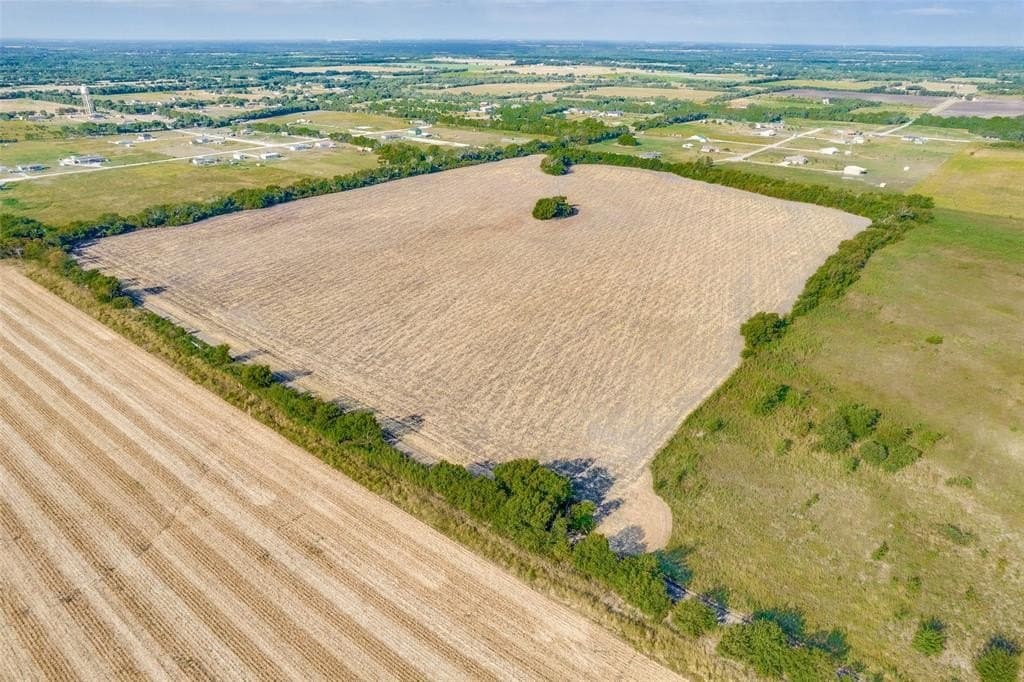 53.01 acres in Fannin County gallery image 2