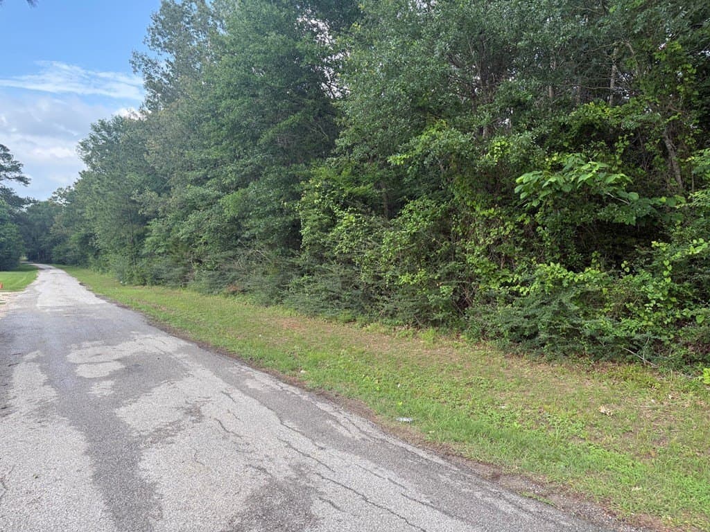 17.8 acres in Texas County - photo 4
