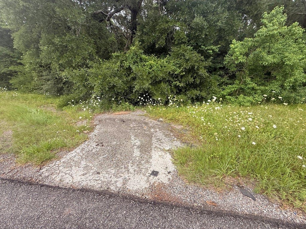 17.8 acres in Texas County - photo 3