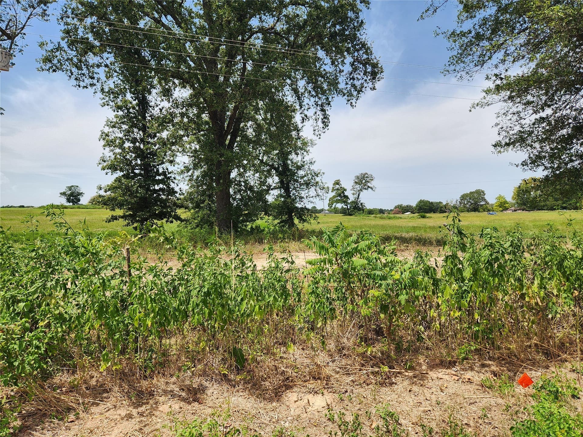 4.37 acres in Titus County - photo 7