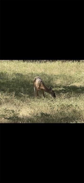 10.01 acres in Hamilton County featured view