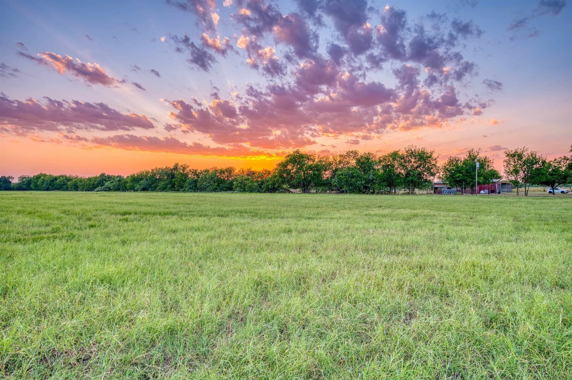118.57 acres in Limestone County - photo 44