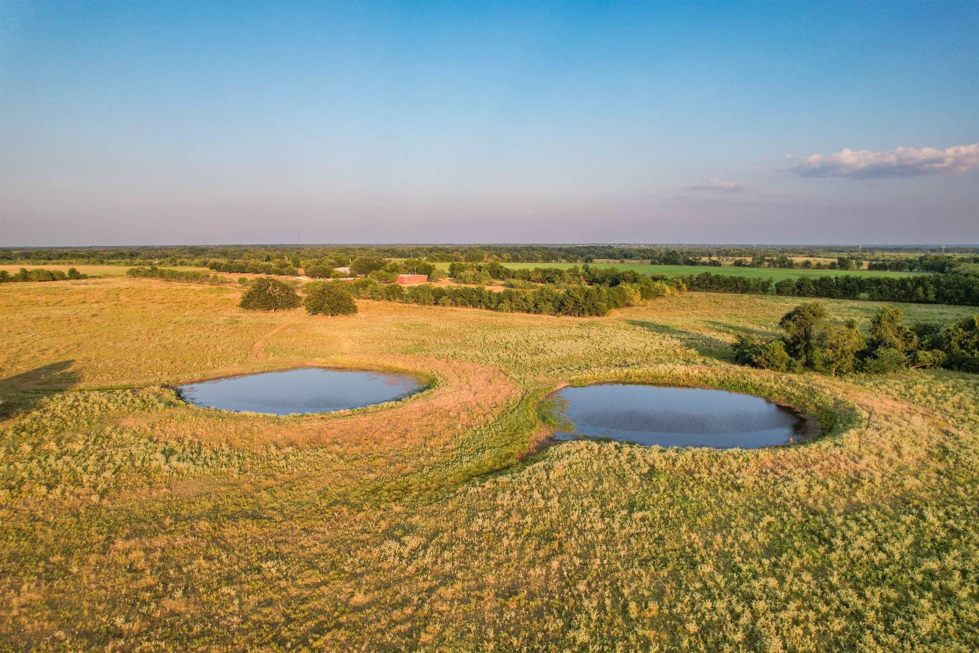 118.57 acres in Limestone County - photo 33