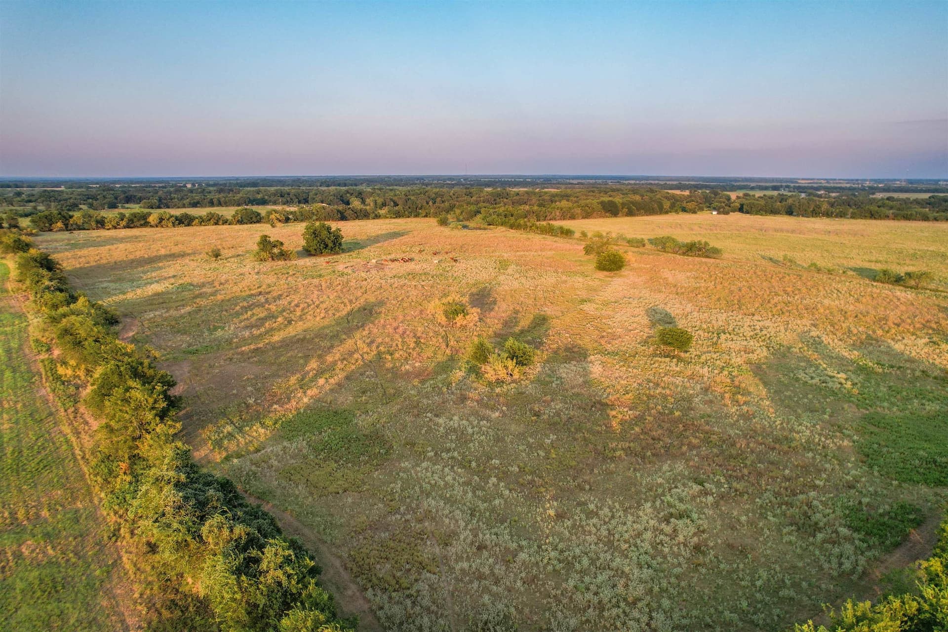 118.57 acres in Limestone County - photo 36