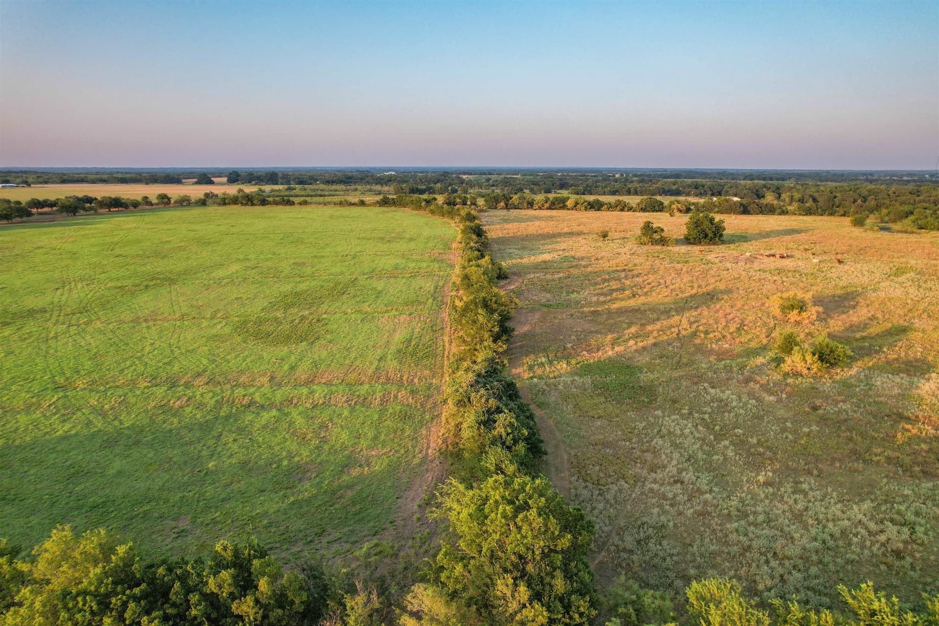 118.57 acres in Limestone County - photo 37