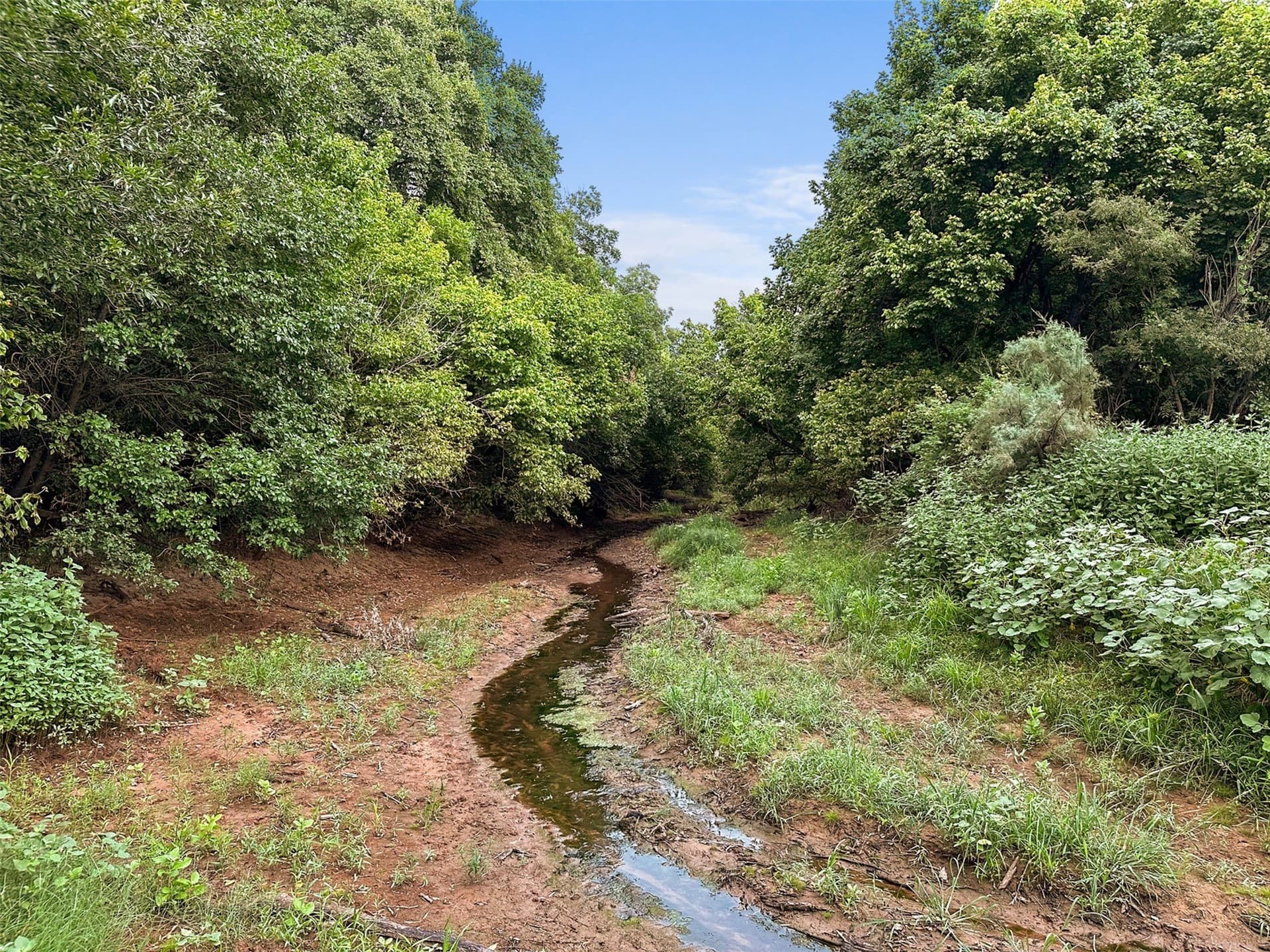 1,541 acres in Clay County - photo 21