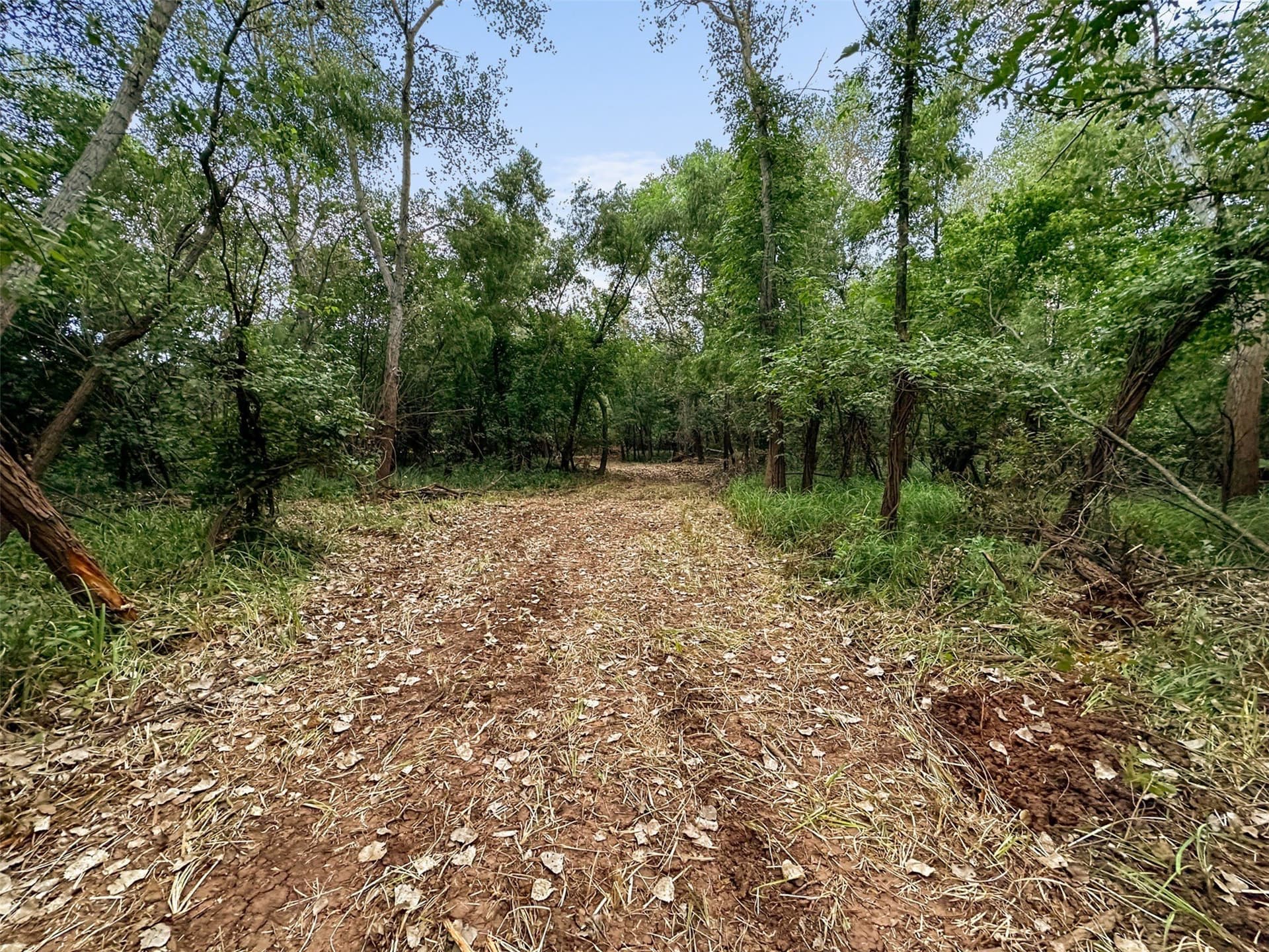 1,541 acres in Clay County - photo 22