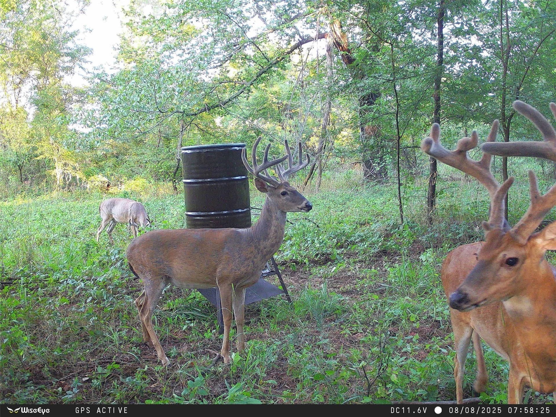 1,541 acres in Clay County - photo 24