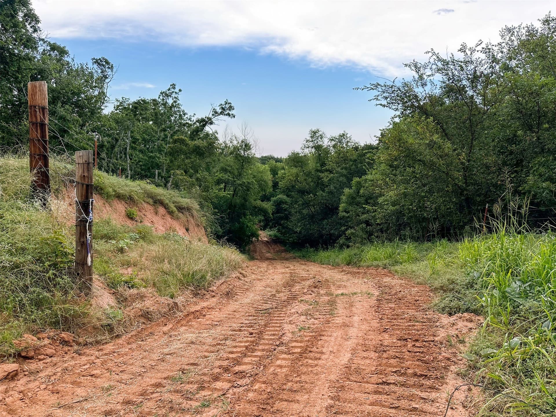 1,541 acres in Clay County - photo 17