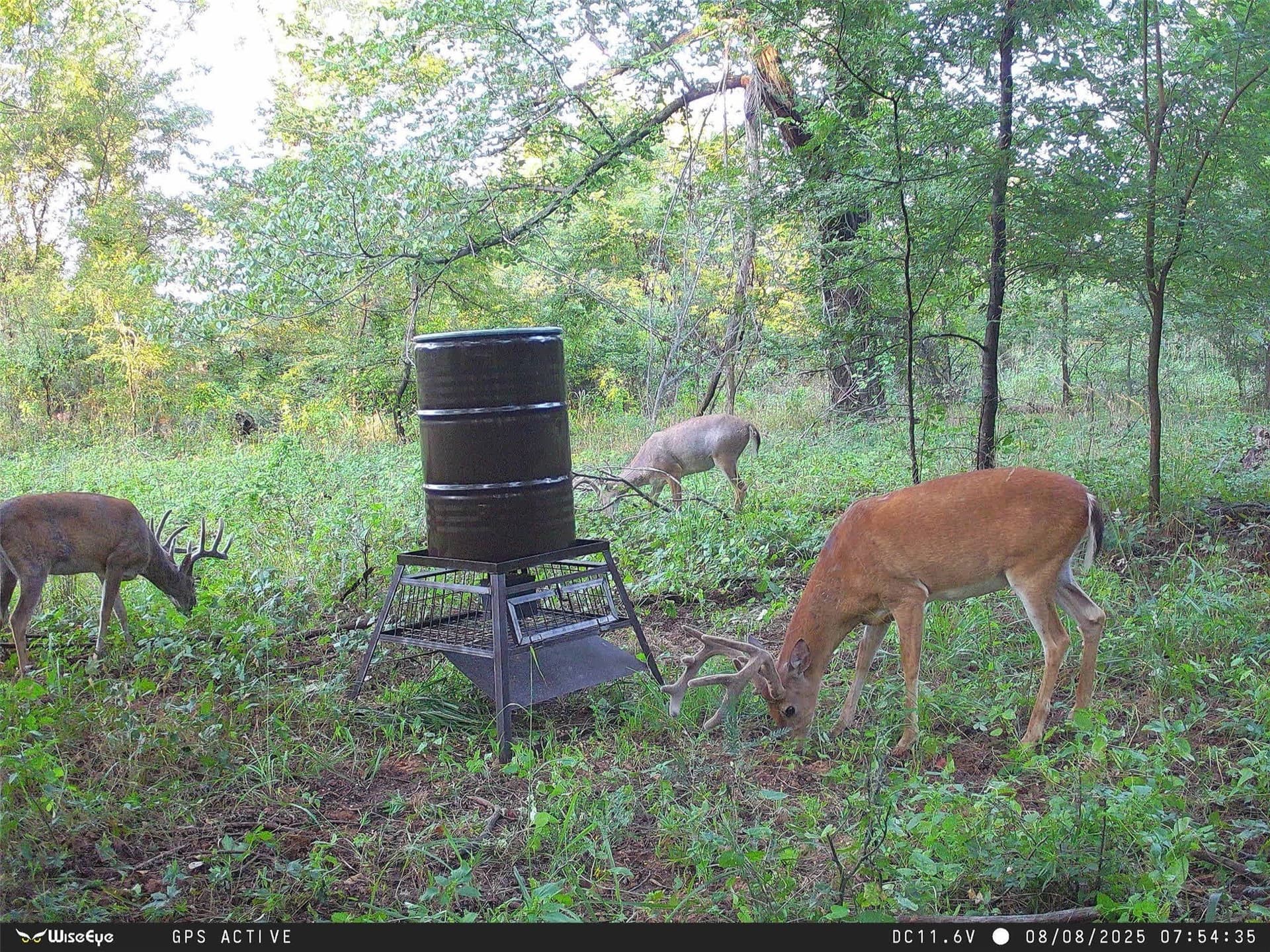 1,541 acres in Clay County - photo 23