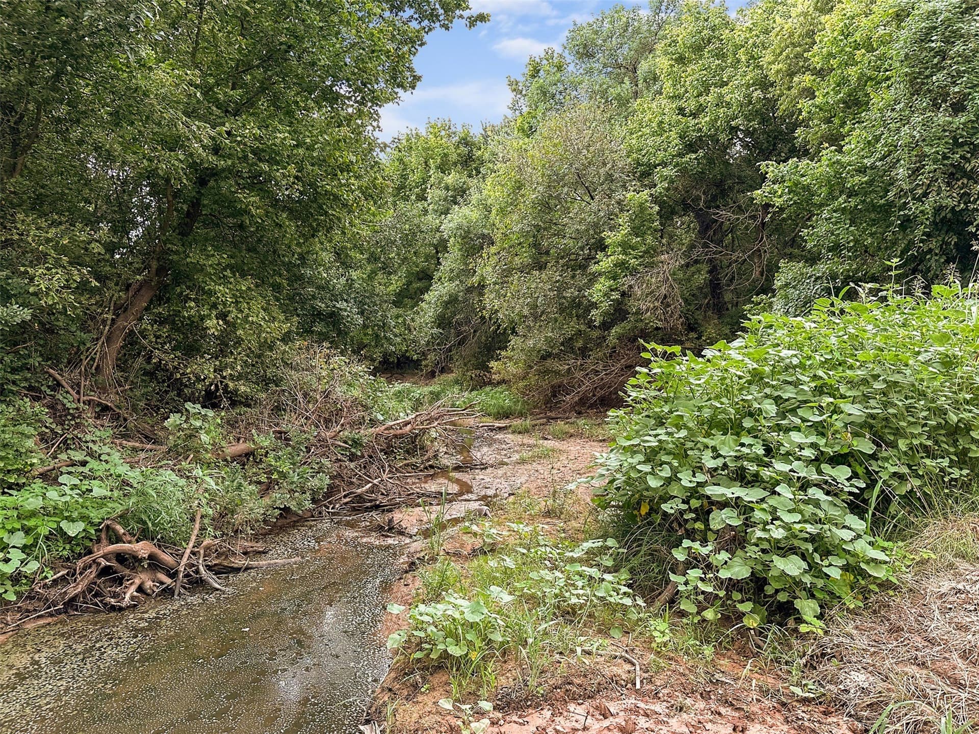 1,541 acres in Clay County - photo 20