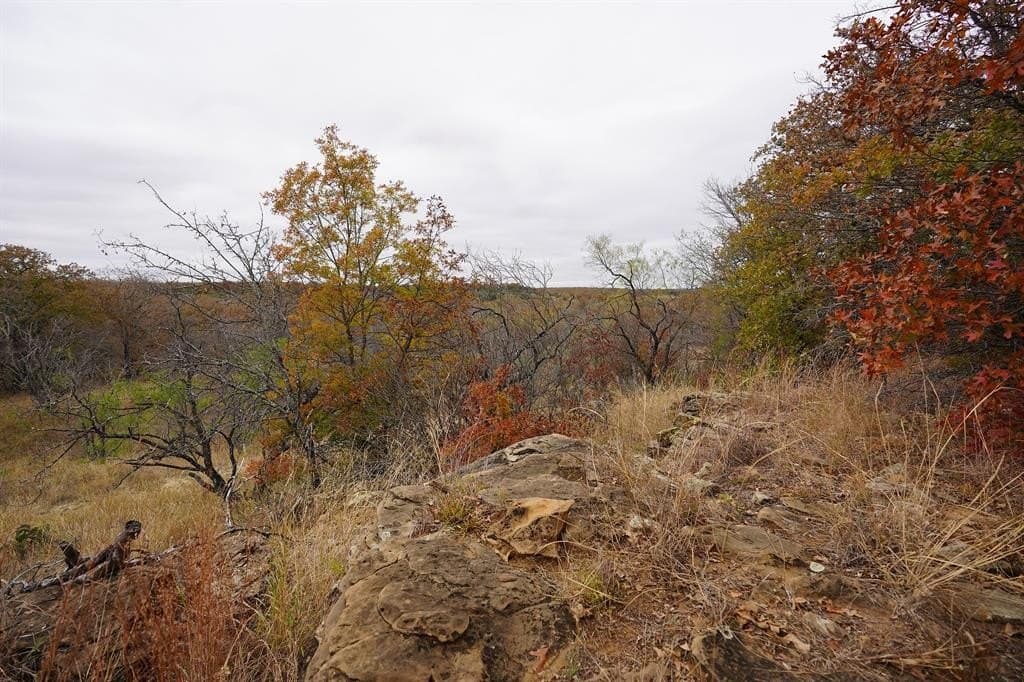 34.02 acres in Comanche County gallery image 3