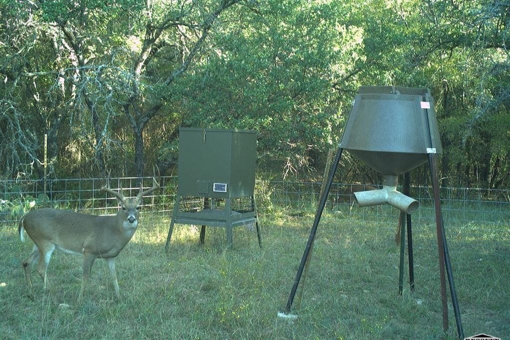 34.02 acres in Comanche County gallery image 4