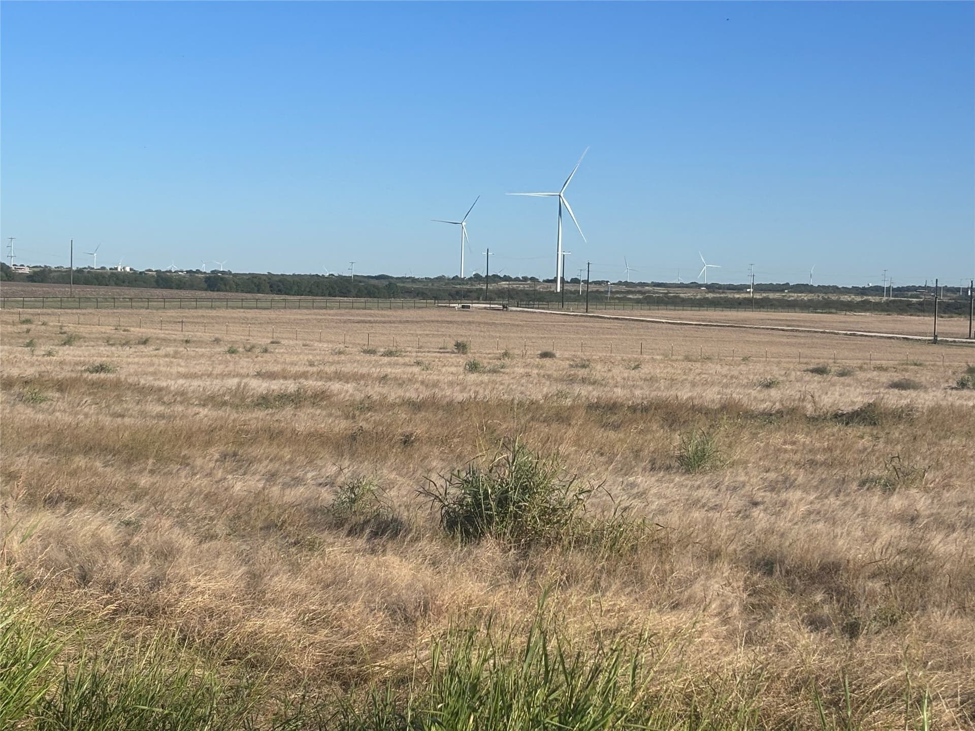 1.82 acres in McLennan County gallery image 3