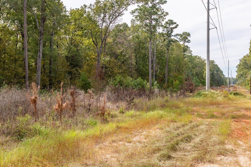 19.82 acres in Texas County - photo 9