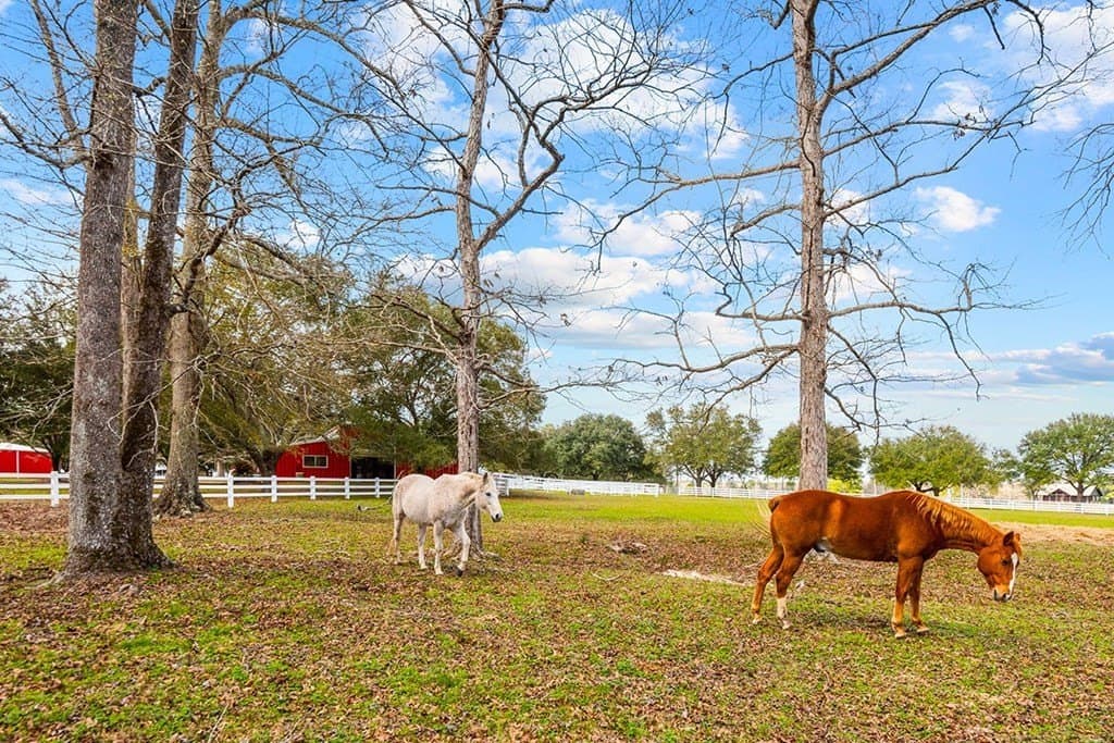 2.13 acres in Texas County - photo 9