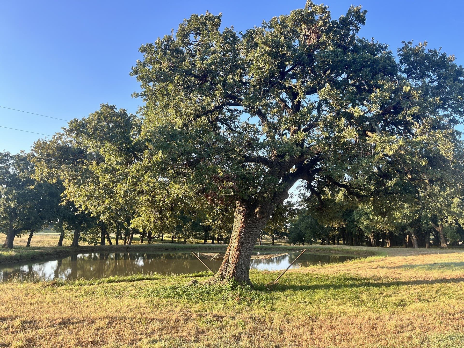 14.05 acres in Grayson County - photo 33