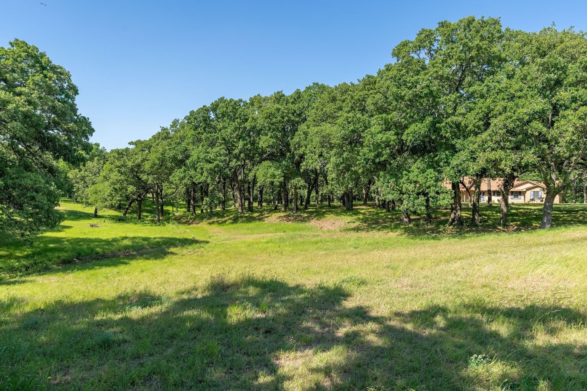 14.05 acres in Grayson County - photo 32