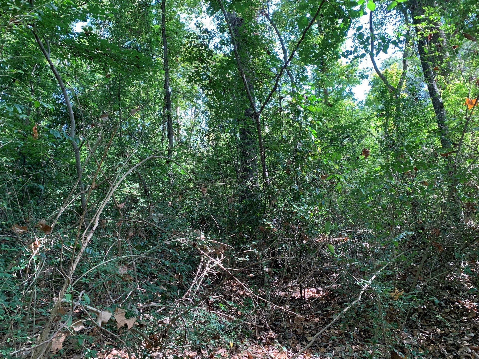 1.95 acres in Henderson County - photo 9